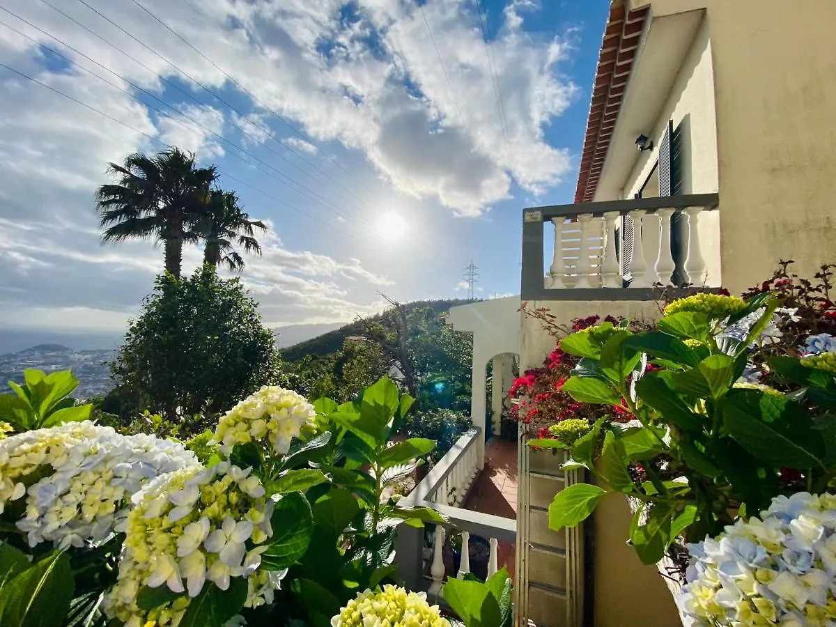 Villa Paraiso - Traumgarten, Meerblick, Wandern Und Golf Funchal