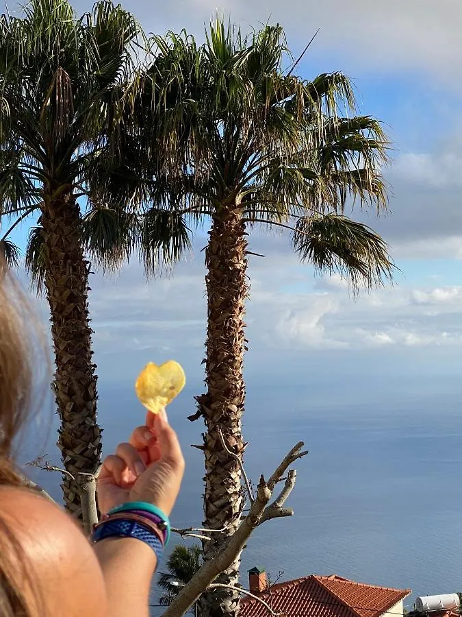 Villa Paraiso - Traumgarten, Meerblick, Wandern Und Golf Funchal  0*, Funchal (Madeira)