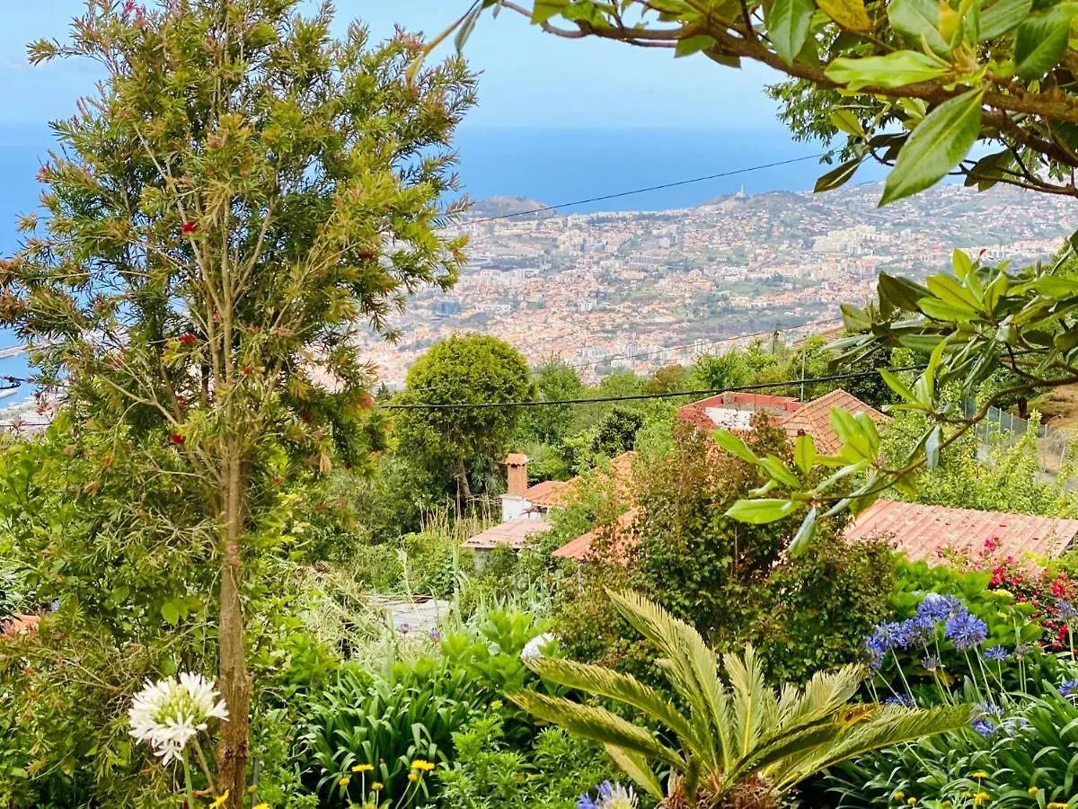 Villa Paraiso - Traumgarten, Meerblick, Wandern Und Golf Funchal  0*, Funchal (Madeira)